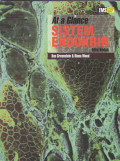 At a Glance Sistem Endokrin Edisi Kedua
